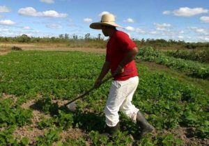 Read more about the article Dignidade para o Trabalhador Rural